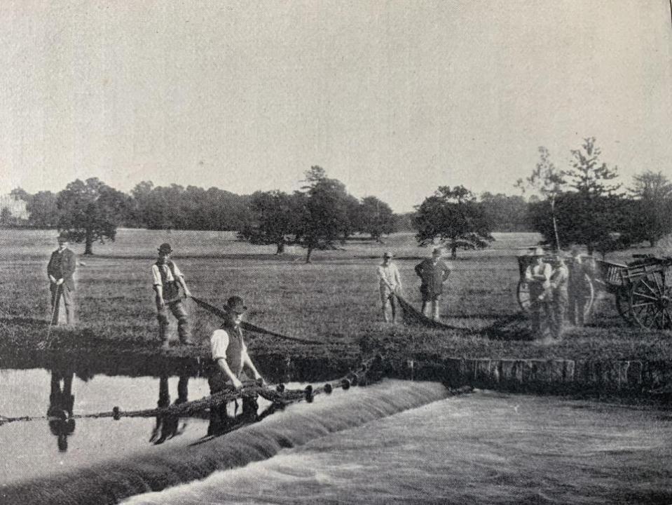 Watford Observer: Netting the Gade, Cassiobury Park, 1909. H.W. Taunt & Co., Oxford