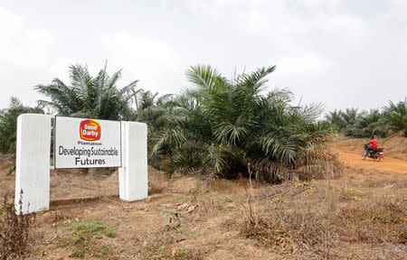 A man rides a motorbike past a sign for Sime Darby Plantation in Gbah, in Bomi County, Liberia December 30, 2017. REUTERS/Thierry Gouegnon