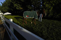 Preakness entrant Secret Oath grazes near the stables after a workout ahead of the Preakness Horse Race at Pimlico Race Course, Wednesday, May 18, 2022, in Baltimore. Trainer D. Wayne Lukas believes Secret Oath could be one of the best fillies he has ever had. That belief and her winning the Kentucky Oaks in impressive fashion the day before the Derby inspired him to enter Secret Oath in the Preakness Stakes, where she could give the 86-year-old Hall of Fame trainer a record-tying seventh victory in the second jewel of the Triple Crown.(AP Photo/Julio Cortez)