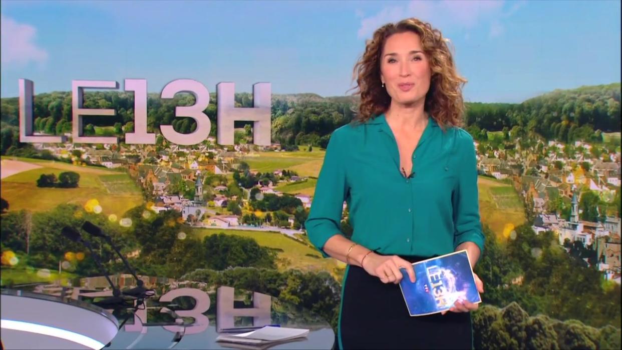 © Capture d'écran TF1