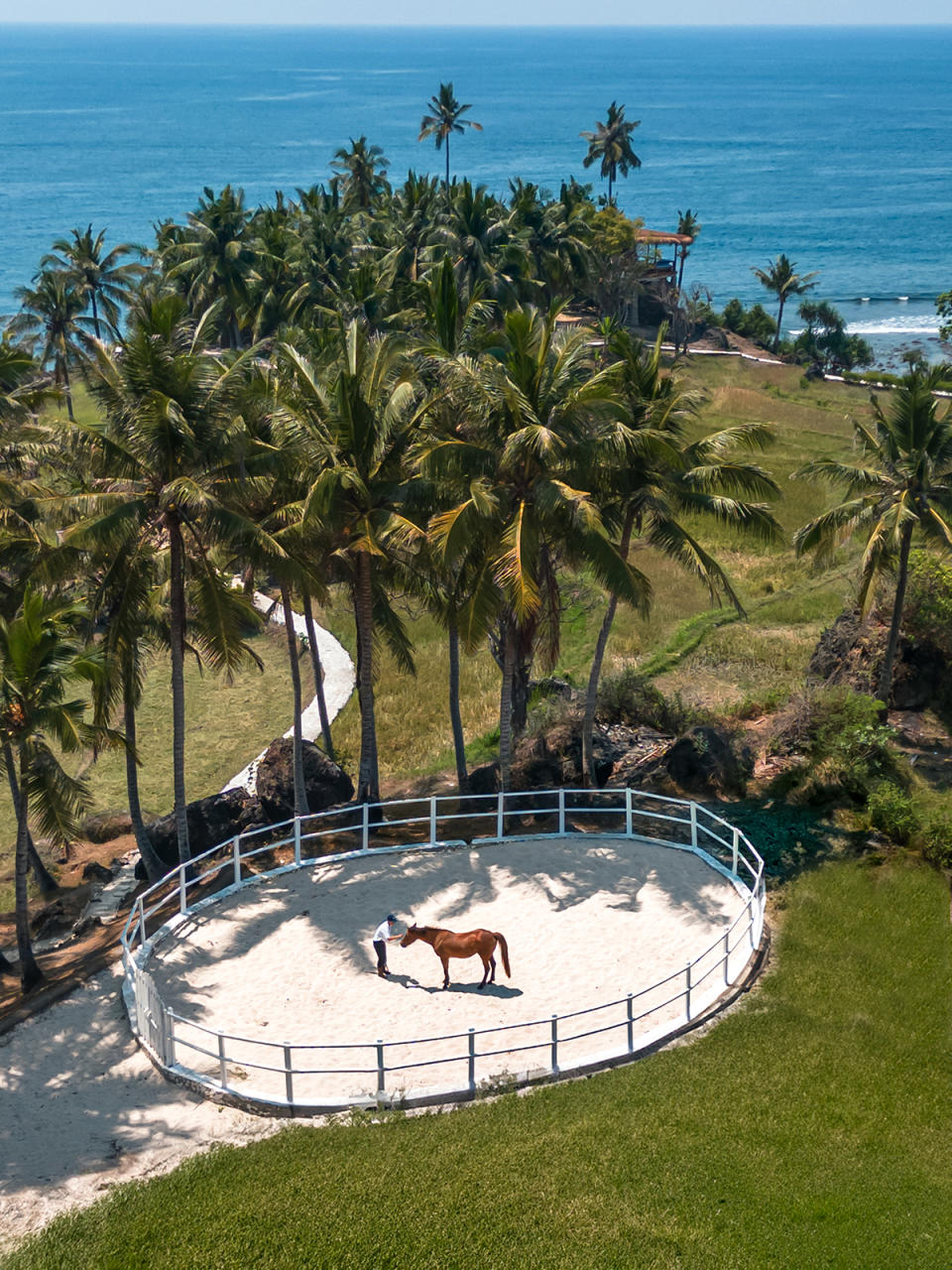 NIHI Sumba Equine Wellness Program