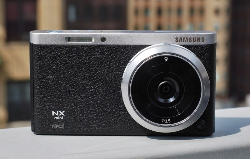 Mirrorless cameras are here to stay