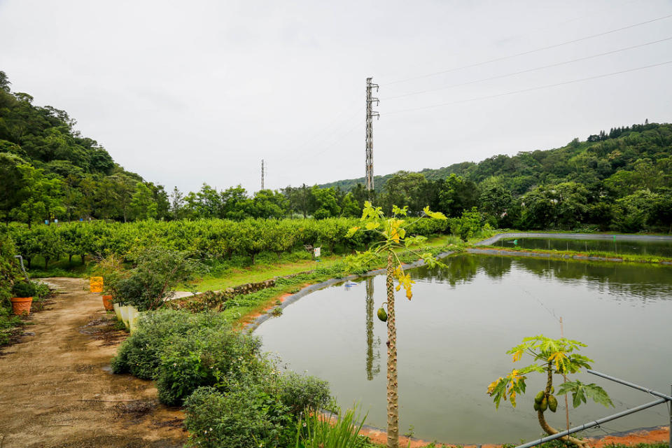 桃園龍潭｜青山吉田