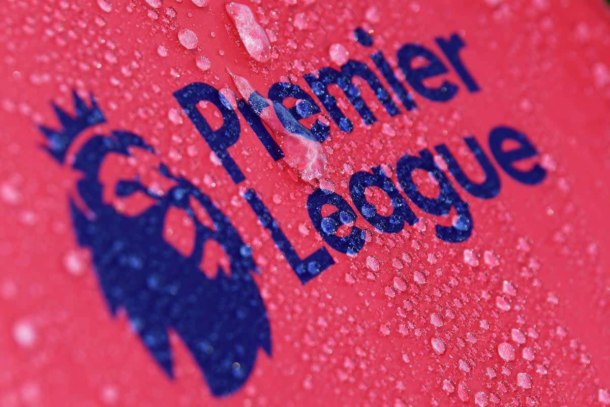 The Premier League represents the very top of the game but there are many who would love to see it fall  (Getty Images)