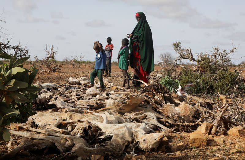 FILE PHOTO: Internally displaced Somali woman and her children stand near the carcasses of their dead livestock following severe droughts near Dollow, Gedo Region