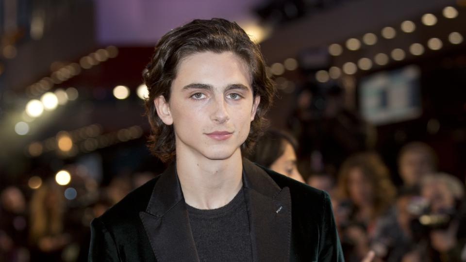 Chalamet has donated his salary to charity for Rainy Day in New York (PA)