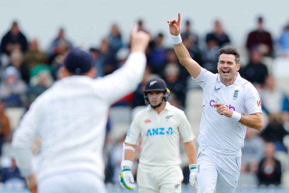 In control: James Anderson has been in imperious form  (Getty Images)