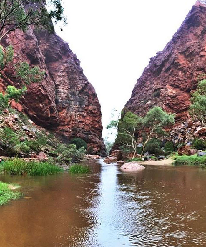 This is what a flood in the desert looks like