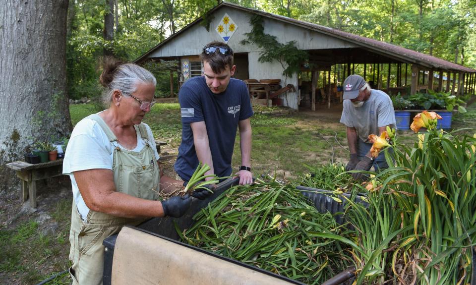 May 20 2024; Gordo, AL, USA; Rene Holliman shows her son, Asa, how to cut the plants so the bulbs can be preserved and sold at the Holliman family farm in Gordo. At right is Len Holliman who is bringing harvested daylily plants over from their garden.