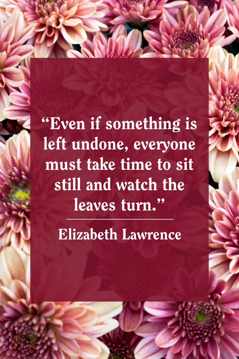 Elizabeth Lawrence