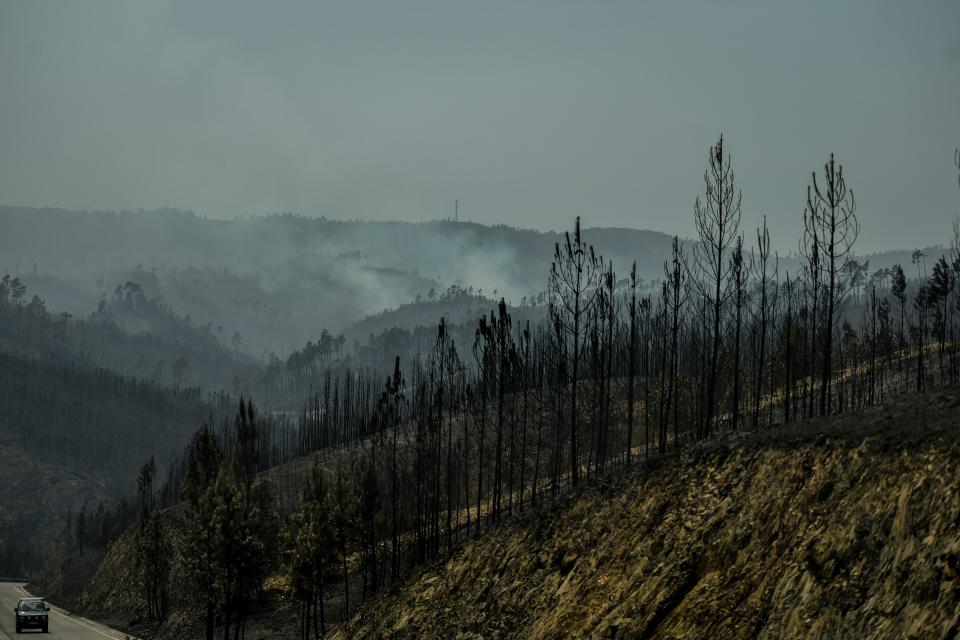 A car drives past a burnt forest after a wildfire in Vila de Rei, central Portugal on July 21, 2019. (Photo: Patricia De Melo Moreira/AFP/Getty Images)