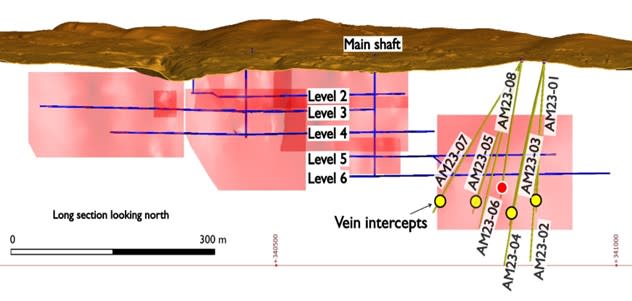<strong>Longitudinal view of Amelia mine (looking North) showing vein blocks and 2023 drill holes.</strong>