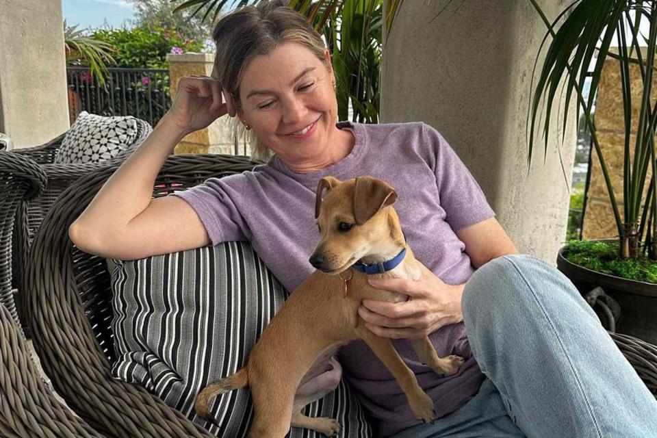 <p>Instagram/maedayrescue</p> Ellen Pompeo and her new rescue puppy, Tom