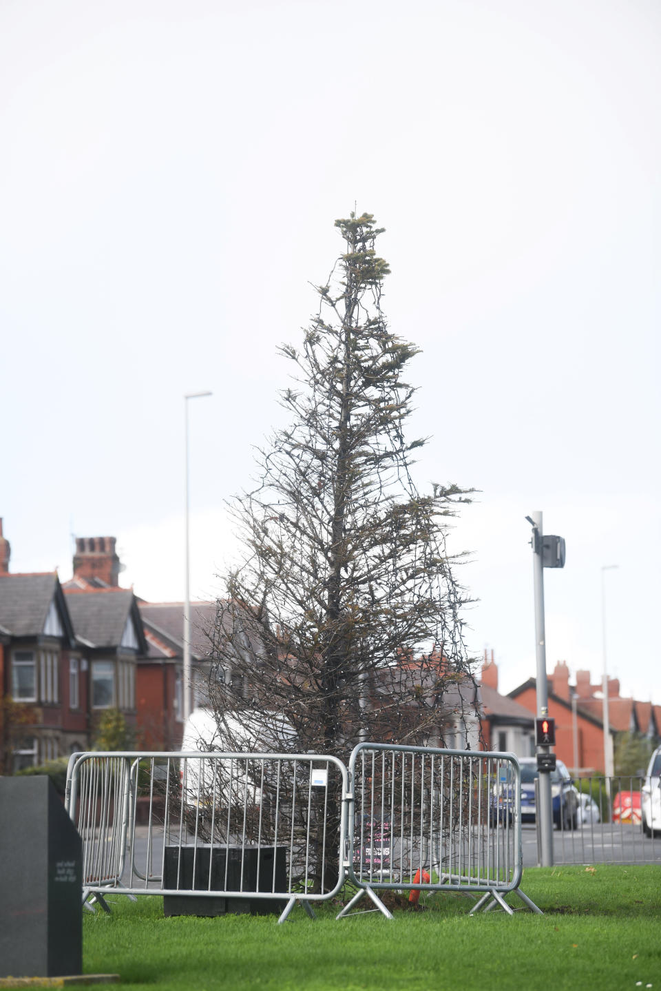 Locals have found the tree uninspiring. (SWNS)