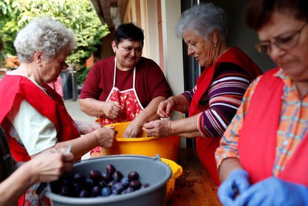 Elderly women prepare plums to cook marmalade in Bordany, Hungary, September 19, 2018. REUTERS/Bernadett Szabo