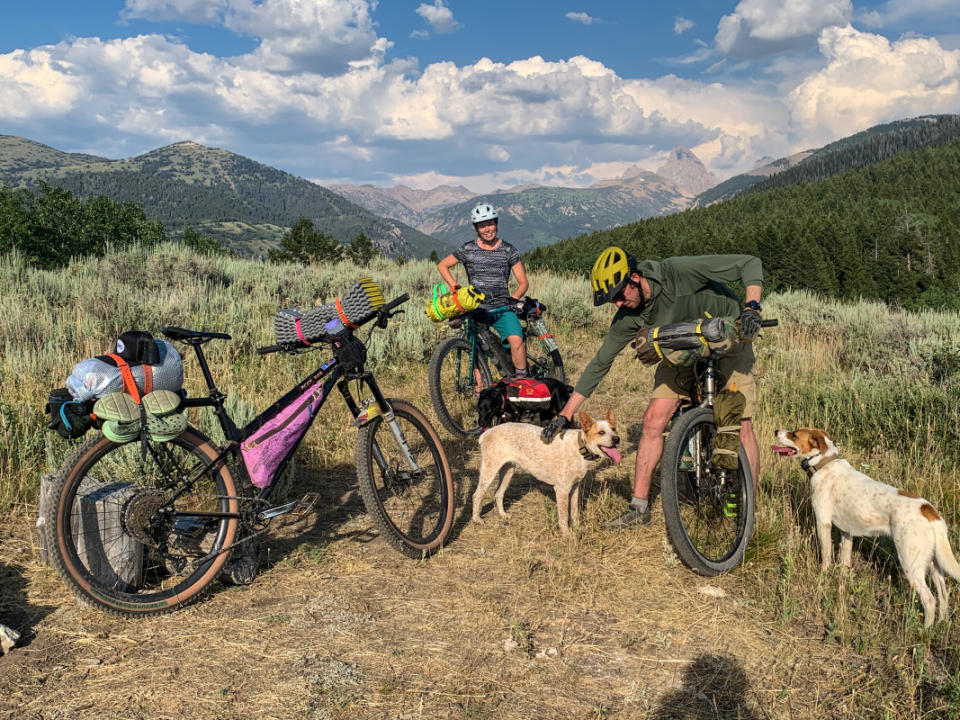 Dogs, friends, weeknight backyard bikepacking.