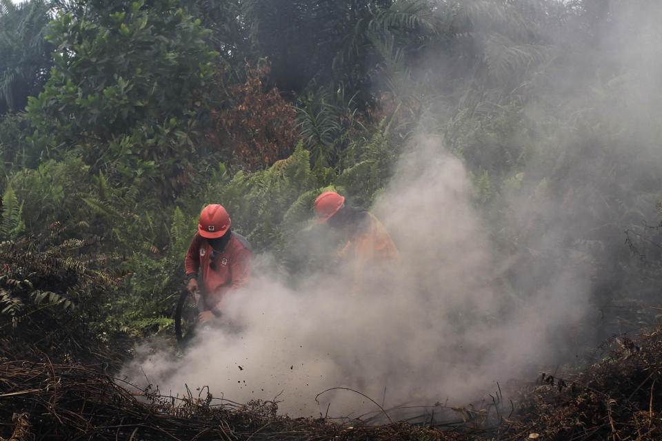 Firefighters try to extinguish brush fires in Pekanbaru, Riau province, Indonesia, Saturday, Sept. 14, 2019. Nearly every year, Indonesian forest fires spread health-damaging haze across the country and into neighboring Malaysia and Singapore. The fires are often started by smallholders and plantation owners to clear land for planting.(AP Photo)