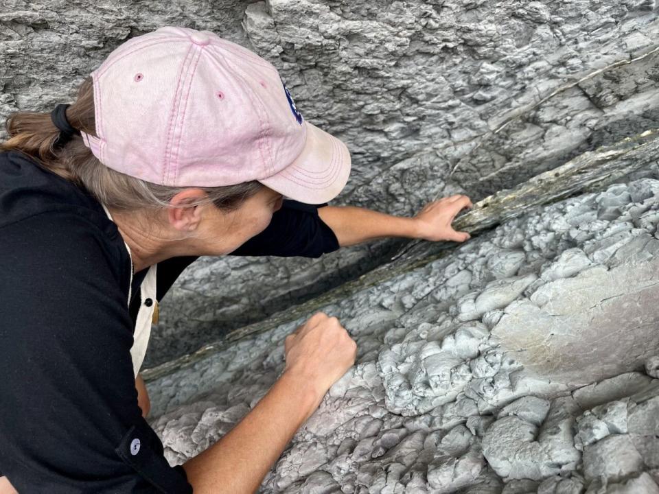La Brea Tar Pits curator Regan Dunn places her hand on the K-Pg boundary of Zumaia's flysch in Zumaia, Spain.