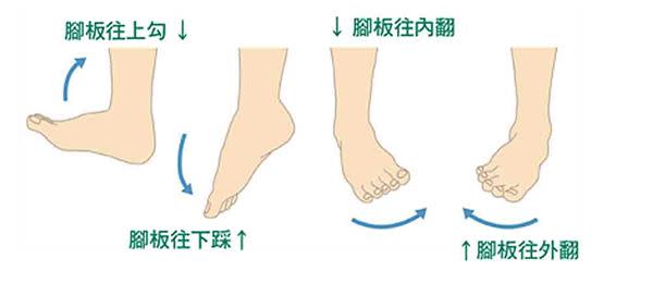 腳板往上勾，腳板往下踩；腳板往內翻，腳板往外翻。每個方向做10下，每天3回。（圖片／大塊文化提供）