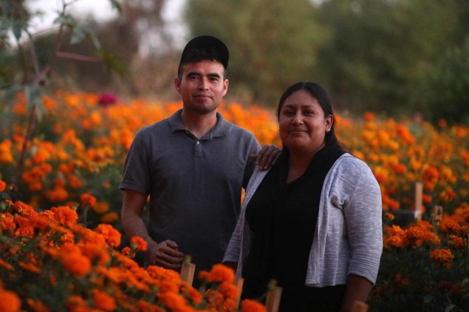 Area residents such as husband and wife Alejandro Torres and Alejandra Garcia are just a few of the community garden members in Fresno who have plots filled with cempasúchil flowers for personal use and also to sell as the 'Día de los Muertos' celebration approaches.
