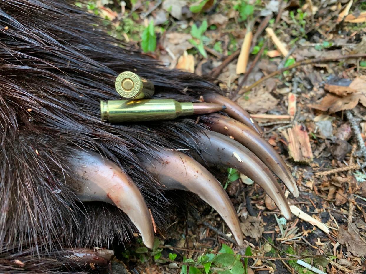 Grizzly paw and 6.5 Creedmoor cartridges