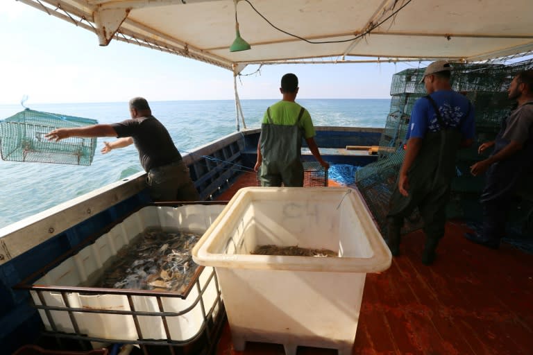 The blue crab's impact on already struggling fishermen led them to demonstrate until the government took notice