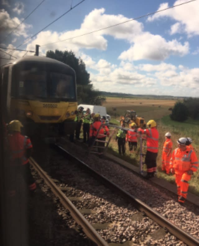 Eleven cows killed after being hit by train in Peterborough