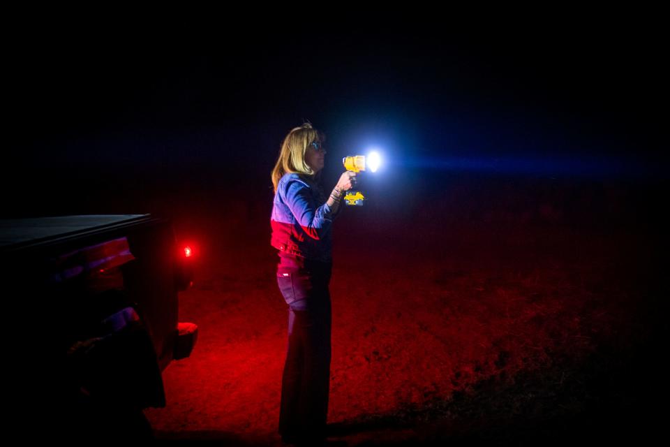 Karin Vardaman, co-founder of Working Circle, shines a light on the cattle herd at the Gittleson Angus ranch while working the night shift to to keep an eye out for wolves on April 20 at the Gittleson Angus ranch in Walden.