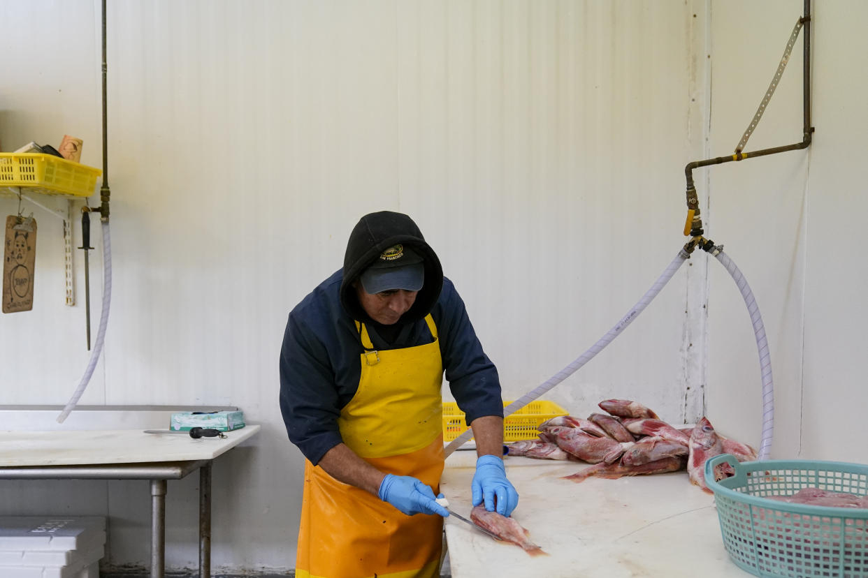 Samuel Zamudio fillets rockfish while working at Costarella Seafoods on Pier 45 in San Francisco, Monday, March 20, 2023. On April 7, the Pacific Fishery Management Council, the regulatory group that advises federal officials, will take action on what to do about the 2023 season for both commercial and recreational salmon fishing. (AP Photo/Godofredo A. Vásquez)