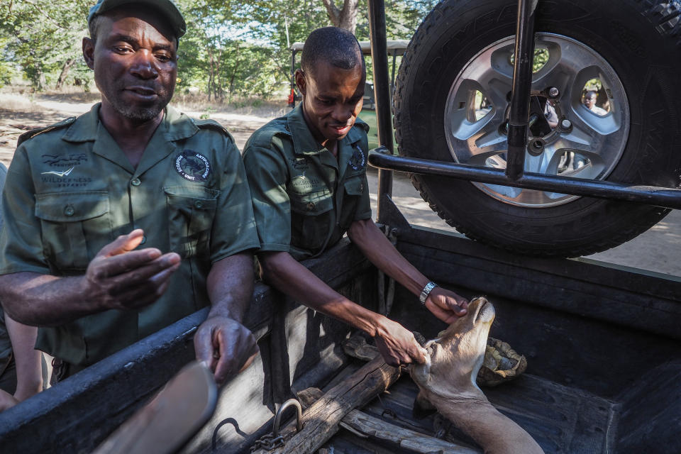 Anti-poaching unit apprehending poachers with a truck full of contraband