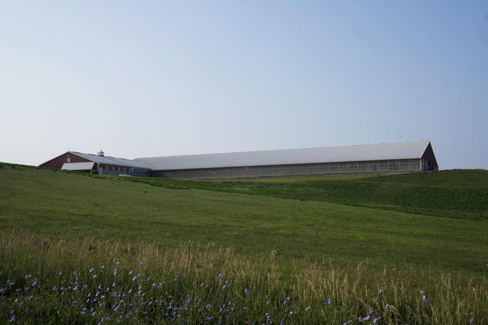 A freestall barn is seen on the Ted and Megan McAllister dairy farm, Monday, July 24, 2023, in New Vienna, Iowa. More intense summer heat resulting from emissions-driven climate change means animal heat stress that can result in billions of dollars in lost revenue for farmers and ranchers if not properly managed. The McAllister family installed new fans above the beds where their cows lie. (AP Photo/Charlie Neibergall)