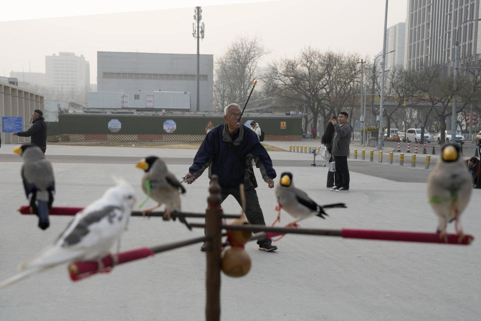 A man prepares to throw a bird up as he shoots a bead through a tube for it to catch in mid-air, practising a Beijing tradition that dates back to the Qing Dynasty, outside a stadium in Beijing, Tuesday, March 26, 2024. Today, only about 50-60 people in Beijing are believed to still practice it. (AP Photo/Ng Han Guan)
