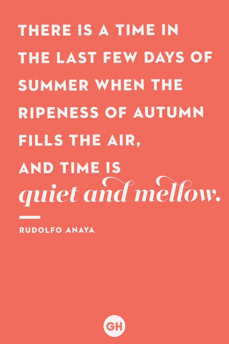 <p>There is a time in the last few days of summer when the ripeness of autumn fills the air, and time is quiet and mellow.</p>