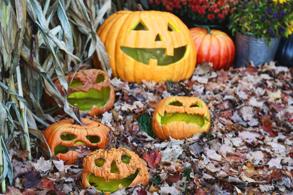 Jack-o'-lanterns outside the Thornhill Woods Haunted House during the COVID-19 pandemic in Thornhill, Ontario, Canada. (Photo by Creative Touch Imaging Ltd./NurPhoto via Getty Images)