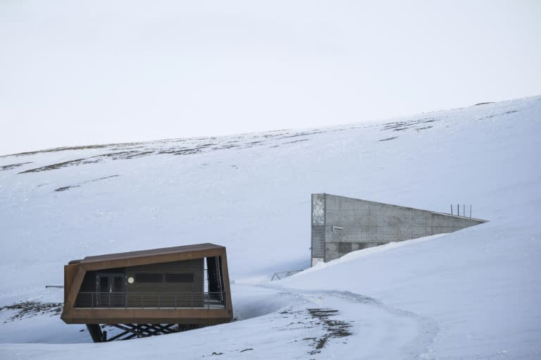 Hawtin and Fowler participated in the creation of the Svalbard Global Seed Vault in Norway (Jonathan NACKSTRAND)