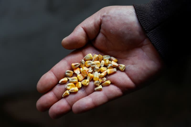 FILE PHOTO: Flour mill Mlybor in Chernihiv region