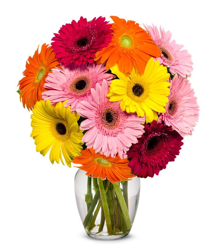 <p><a href="https://go.redirectingat.com?id=74968X1596630&url=https%3A%2F%2Fwww.fromyouflowers.com%2Fproducts%2Fgerbera_daisy_rainbow_bouquet_-_10_stems.htm&sref=https%3A%2F%2Fwww.thepioneerwoman.com%2Fholidays-celebrations%2Fgifts%2Fg42406008%2Fvalentines-day-flowers%2F" rel="nofollow noopener" target="_blank" data-ylk="slk:Shop Now;elm:context_link;itc:0;sec:content-canvas" class="link ">Shop Now</a></p><p>Stunning Gerbera Daisies</p><p>fromyouflowers.com</p><p>$35.99</p><span class="copyright">From You Flowers</span>