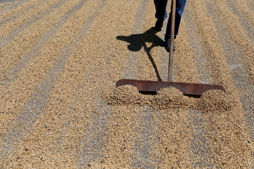 Coffee farming