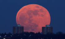 <p>A full moon rises behind blocks of flats in north London, Britain, Jan. 31, 2018. (Photo: Eddie Keogh/Reuters) </p>