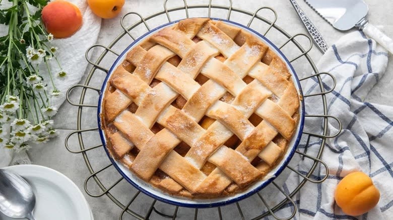 apricot pie on tray