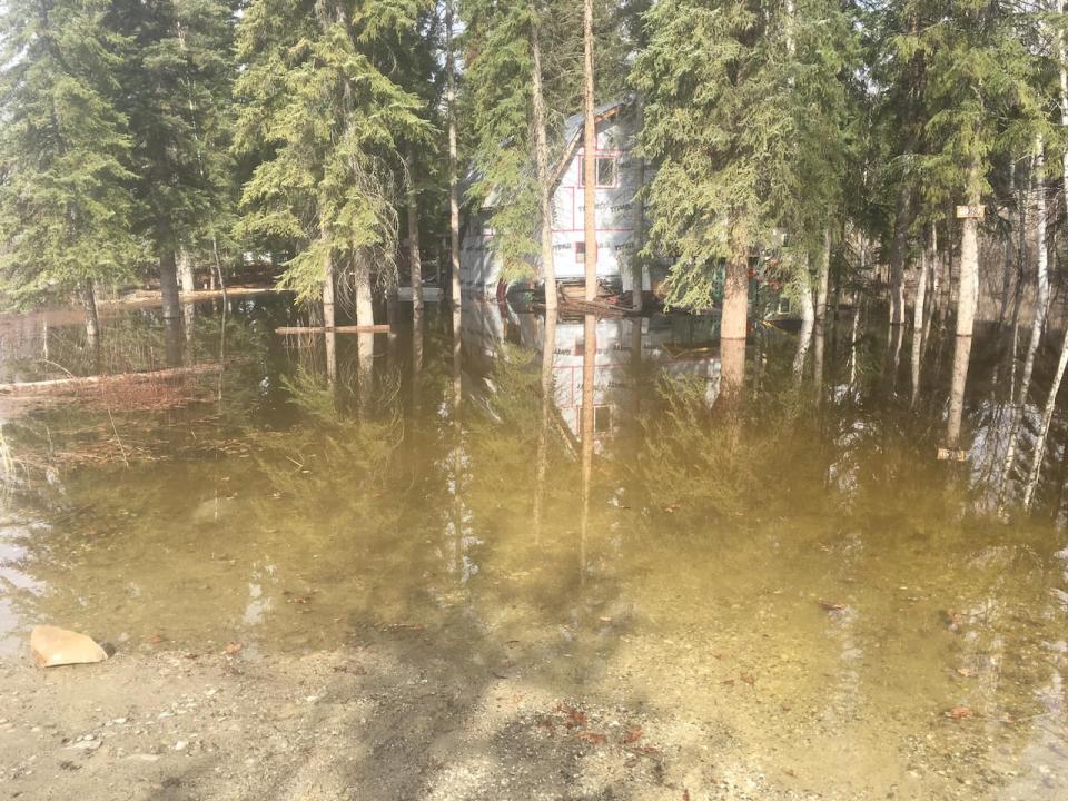 Dawson resident Kim Biernaski's property flooded last Spring. Biernaski said she was expecting more information from the emergency response information session hosted by the town's fire department. 