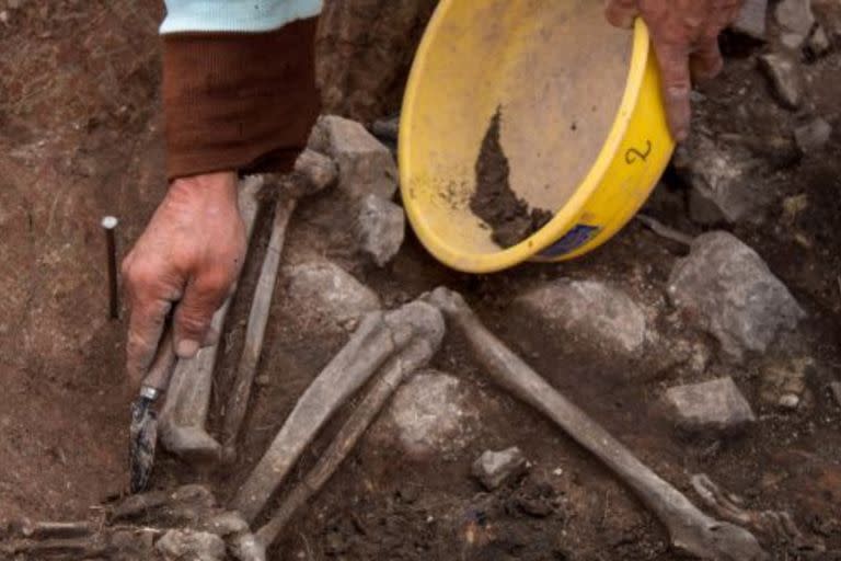 Increíble hallazgo en Perú: encontraron una tumba de 3000 años en la que enterraron a un sacerdote