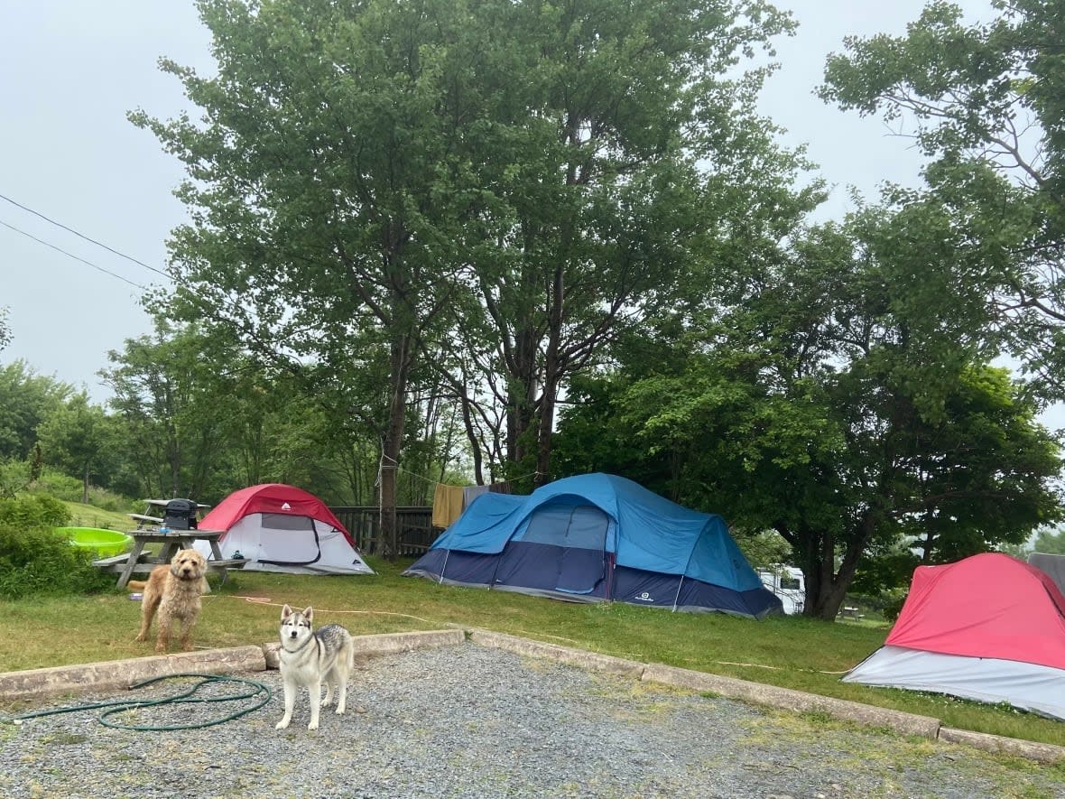 Jessica Smith and her family have been living at this campsite for the past month. They lost their home in a fire and haven't been able to find a new one. (Submitted by Jessica Smith - image credit)