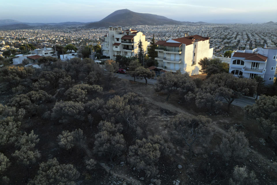 Trees next to houses, which had been burned in a mid-August wildfire, are seen in Vrilissia suburb in northern Athens, Sunday, Aug. 25, 2024. (AP Photo/Thanassis Stavrakis)