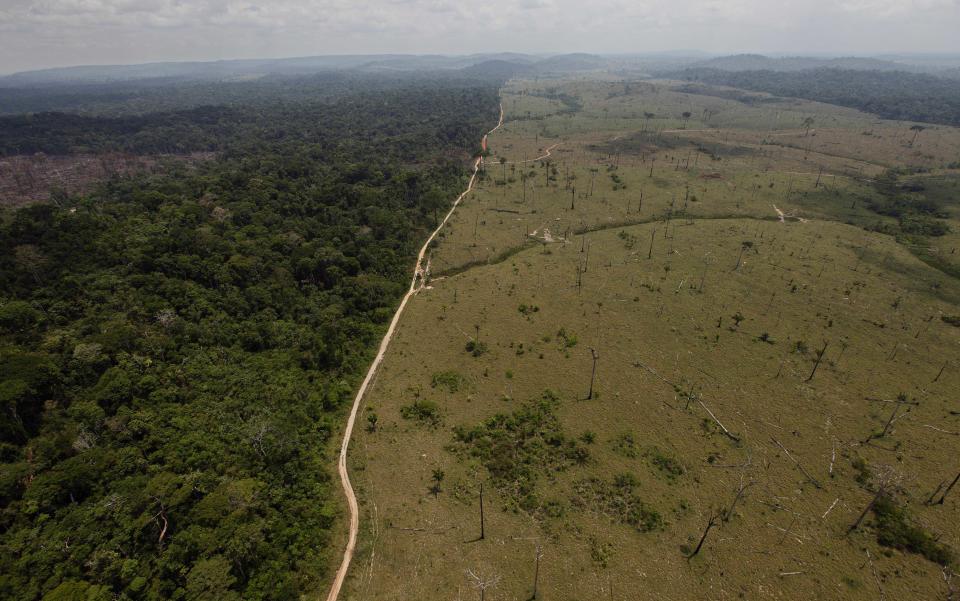 FILE - In this Sept. 15, 2009 file photo, a deforested area is seen near Novo Progresso in Brazil's northern state of Para. Brazil’s Environmental Minister Izabella Teixeira announced on May 25, 2012 that President Dilma Rousseff used her line-item veto powers on a congressional bill that weakened the nation's benchmark environmental law protecting the Amazon. Environmentalists wanted Rousseff to veto the entire bill. (AP Photo/Andre Penner, File)