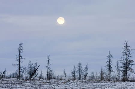A full moon is seen in Tundra near the river of Khanemi, located in the Yamal peninsula above the polar circle, some 2100 km (1305 miles) northeast of Moscow, in this November 24, 2007 file photo. REUTERS/Vasily Fedosenko/Files