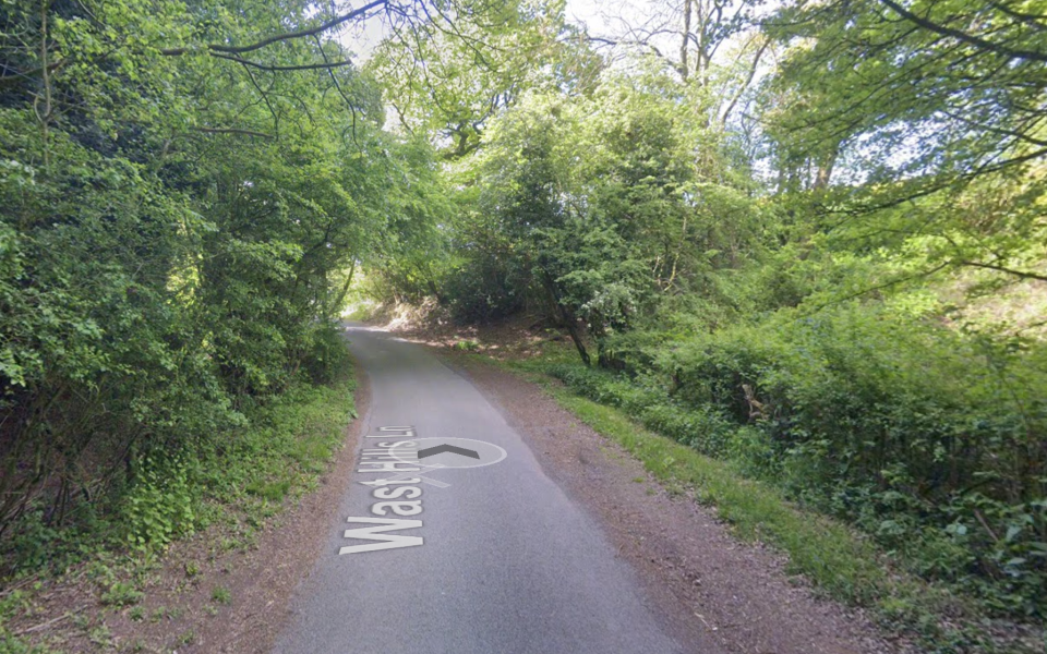 Edney dumped Owen's body in a ditch on Wast Hills Lane, Hopwood, Worcestershire, in May last year. (Google Maps)
