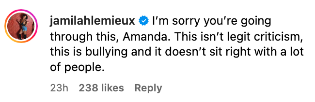 Tweet from user jamilahlemieux offering support to Amanda, mentioning the situation isn't criticism but bullying