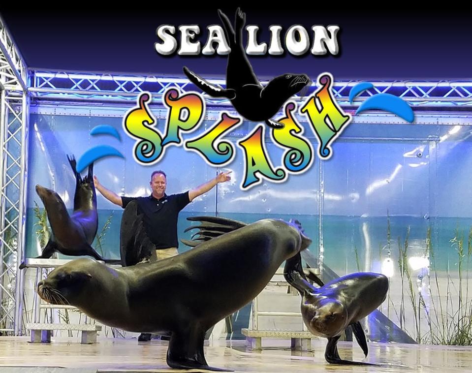 The Sea Lion Splash shows will introduce fairgoers to these amazing animals. There will be education and plenty of comedy as these beautiful animals shoot hoops, balance balls, dance, perform handstands, and show their pretty smiles.