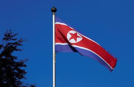 A North Korean flag flies on a mast at the Permanent Mission of North Korea in Geneva October 2, 2014. REUTERS/Denis Balibouse/Files